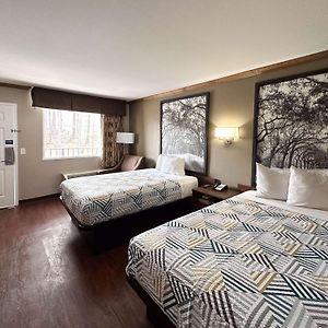 Quadruple Room Non-Smoking